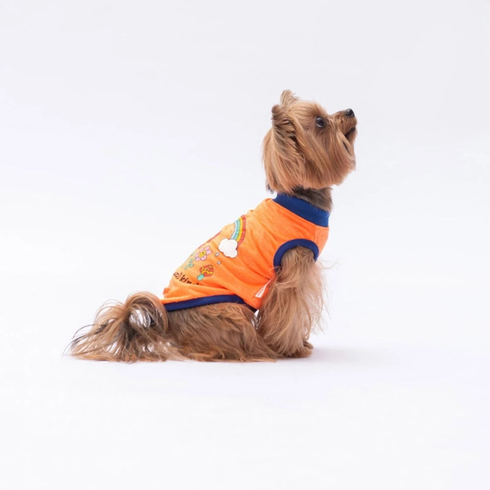 Neon Orange Be Kind Printed Dog T-Shirt