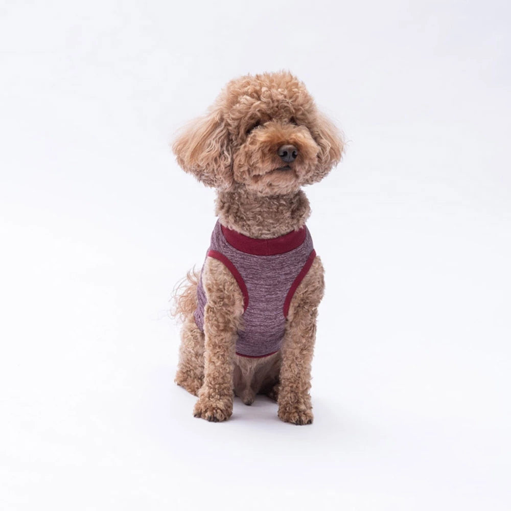 Burgundy Space Time Dog T Shirt