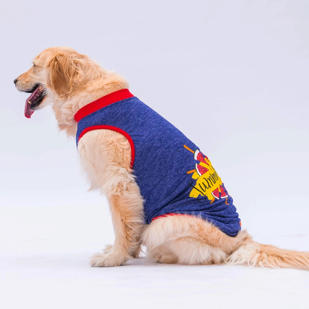 Navy Summer Time Printed Large Breed Dog T-Shirt