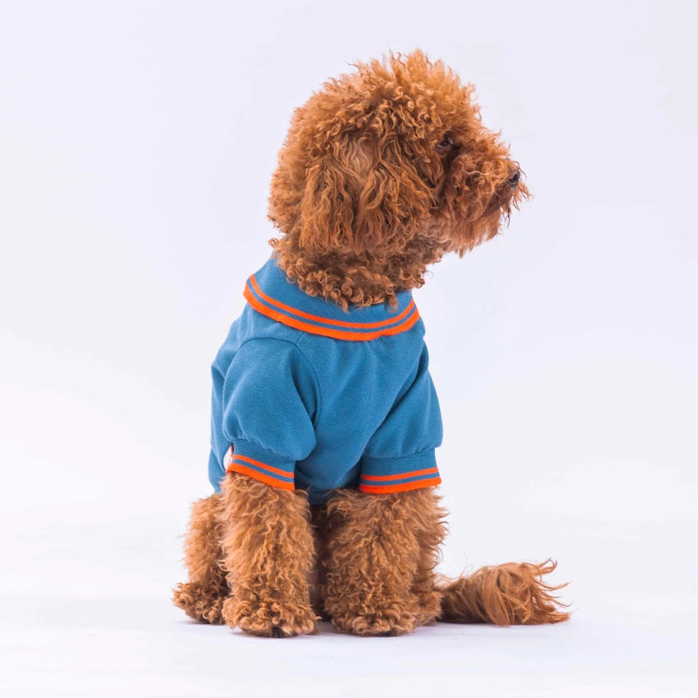 Blue Marine Polo Collar Dog T-Shirt