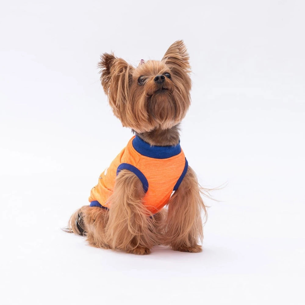 Neon Orange Be Kind Printed Dog T-Shirt