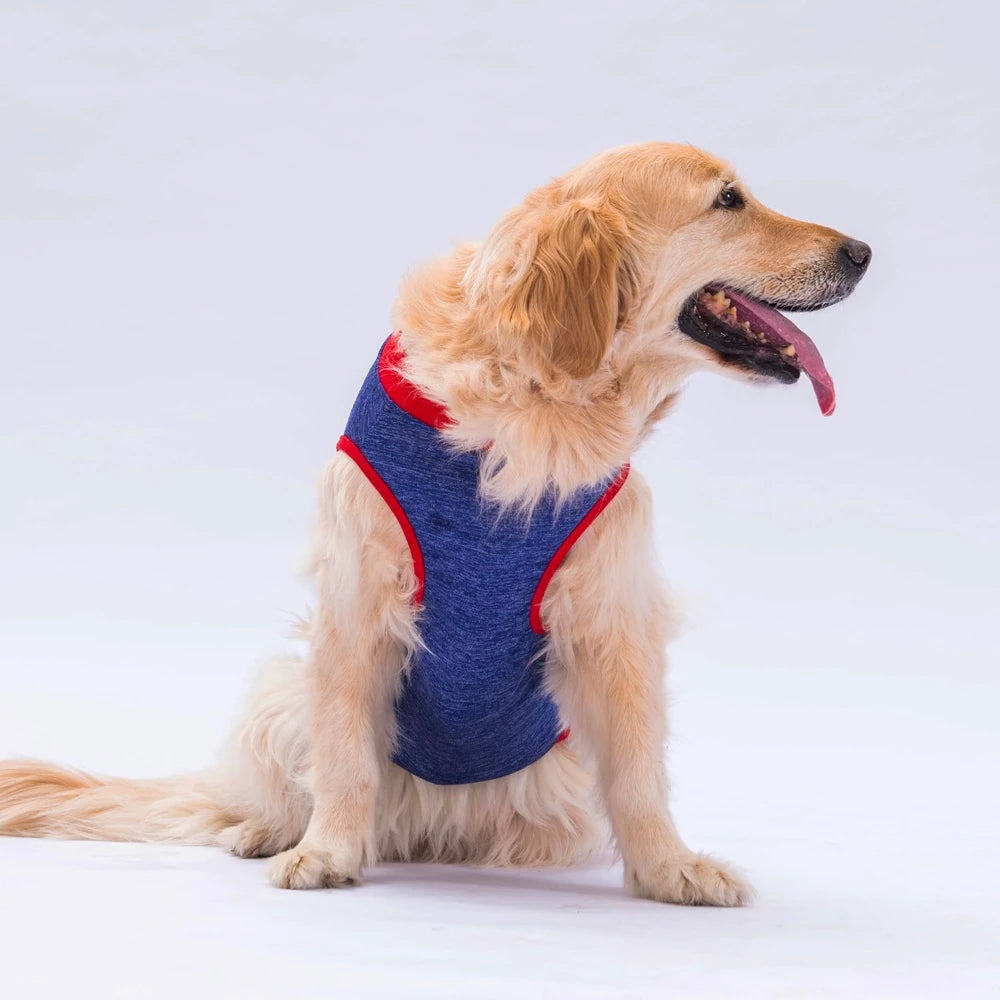 Navy Summer Time Printed Large Breed Dog T-Shirt