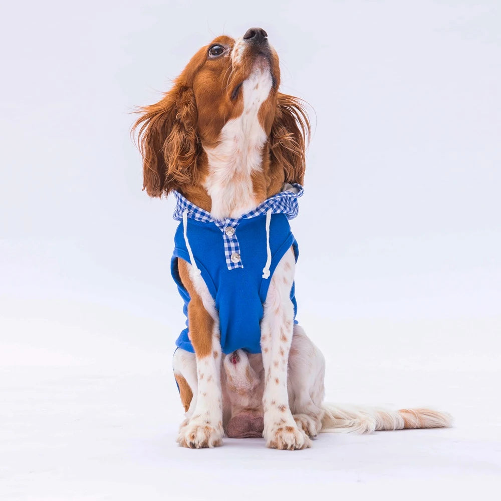 Blue Gingham Hooded Dog T-Shirt for Small Medium Pets