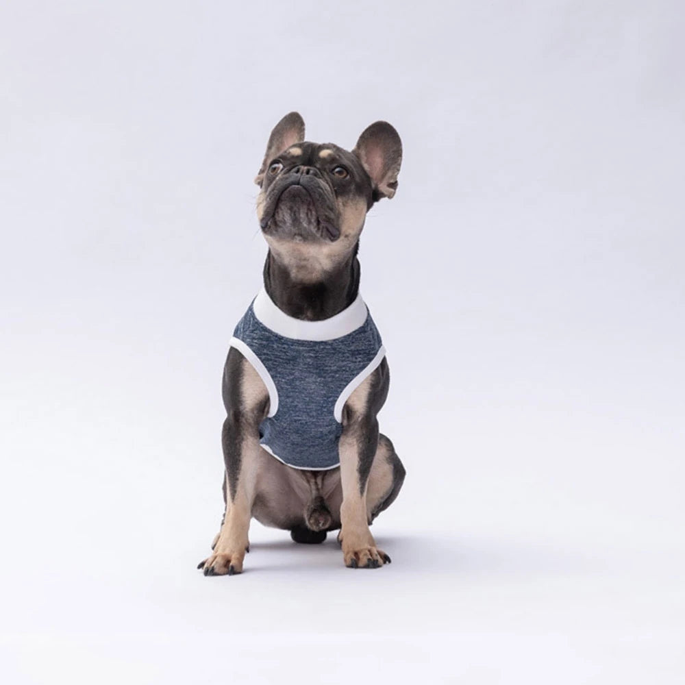 Navy Blue Space Time Printed Dog T-Shirt