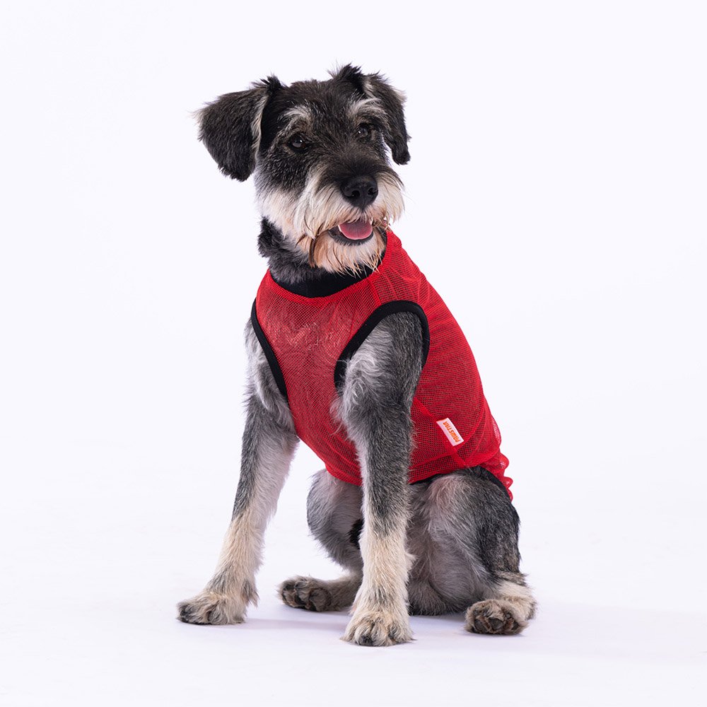 Red Mesh Smile Dog T-Shirt for Small Medium Pets