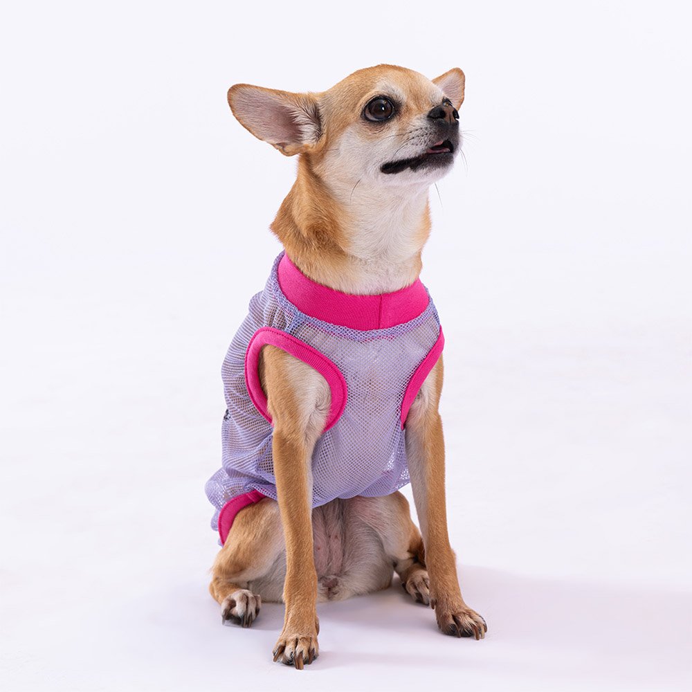 Our Flock Rocks Purple Dog T-Shirt Mesh Lightweight Pet Clothing