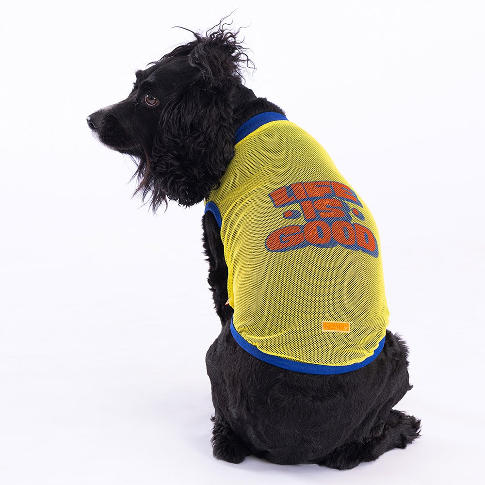 Life Is Good Printed Yellow Mesh Dog T Shirt