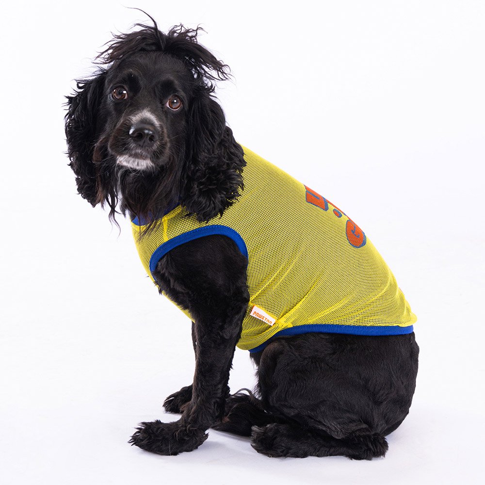 Life Is Good Printed Yellow Mesh Dog T Shirt